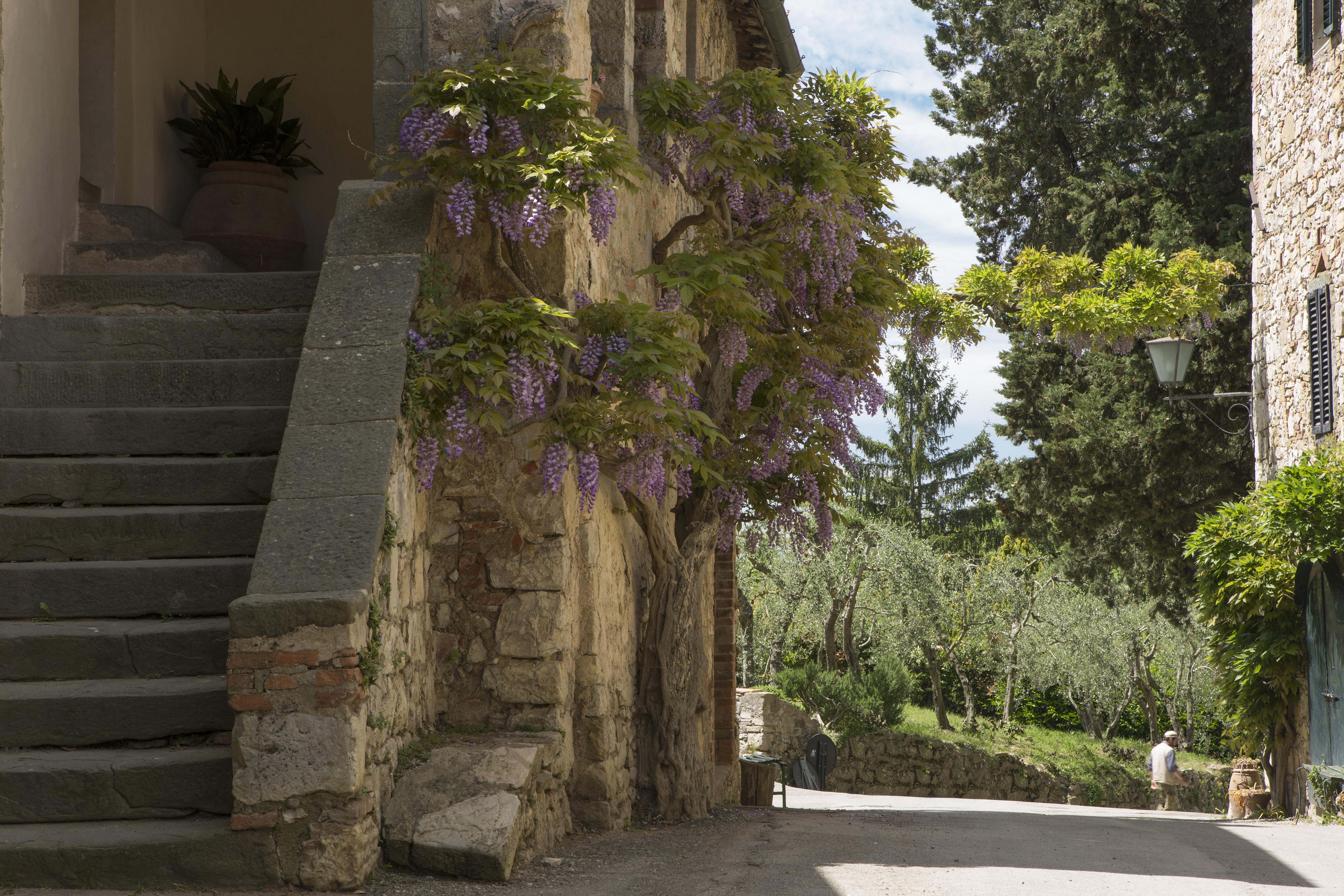 Country house Castello Di Fonterutoli Wine *