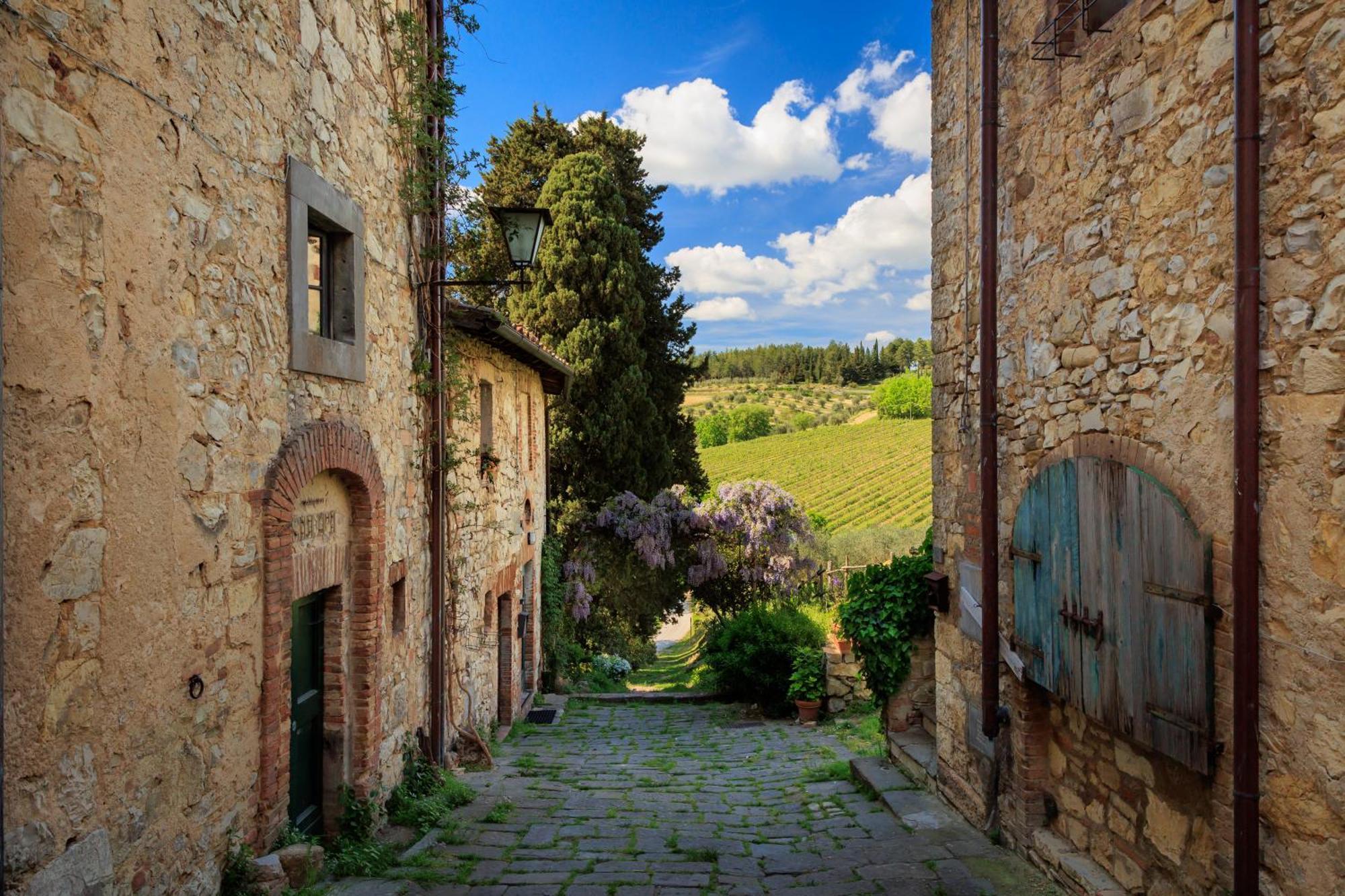 Country house Castello Di Fonterutoli Wine Castellina in Chianti