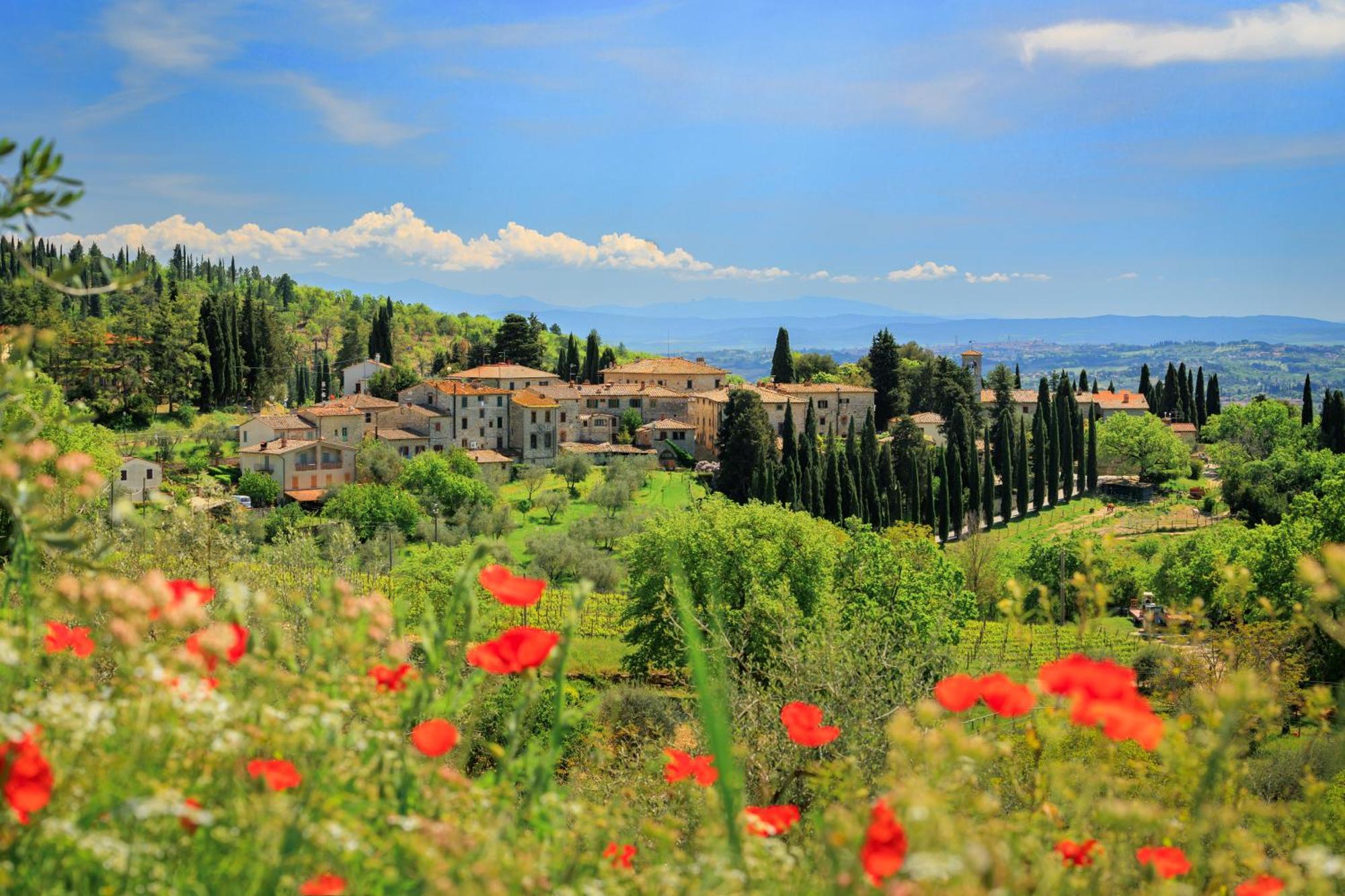 Castello Di Fonterutoli Wine Country house *